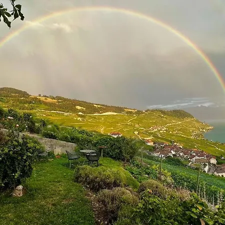 Δωμάτια σε οικογενειακή κατοικία Maison Dans Le Vignoble De Lavaux Avec Vue Sur Le Cully